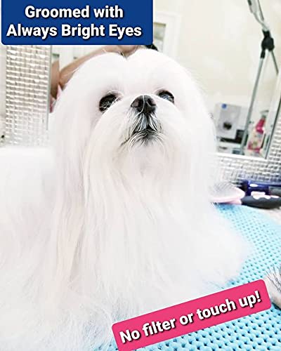 Always Bright Eyes Tear Stain Remover For Dogs and Super Whitening Concentrated Tear Stain Face Wash Shampoo With Optical Brighteners