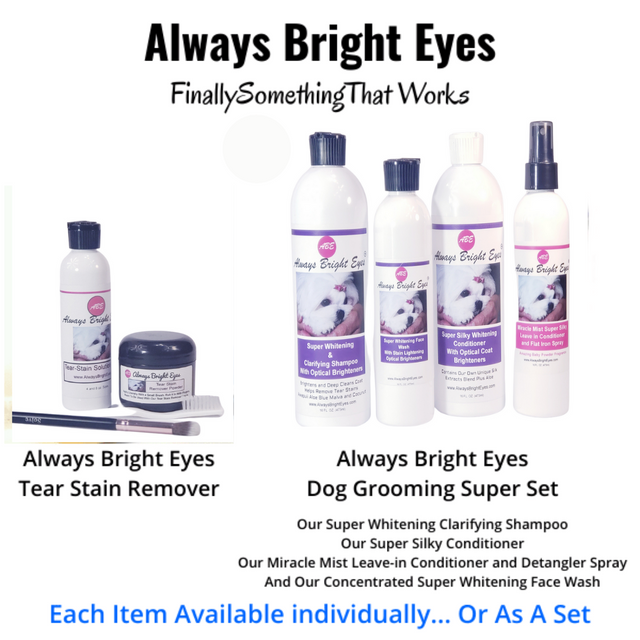 Shazam dog sales tear stain remover